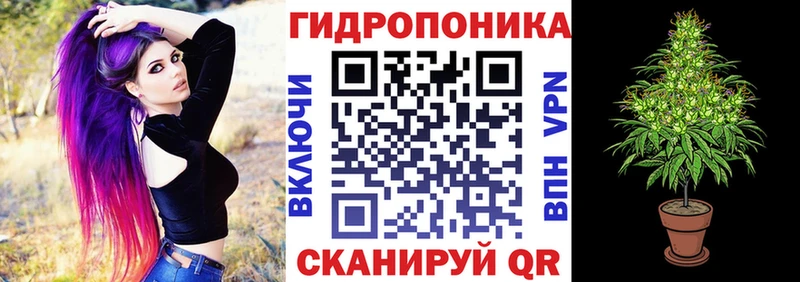 Каннабис MAZAR Лакинск